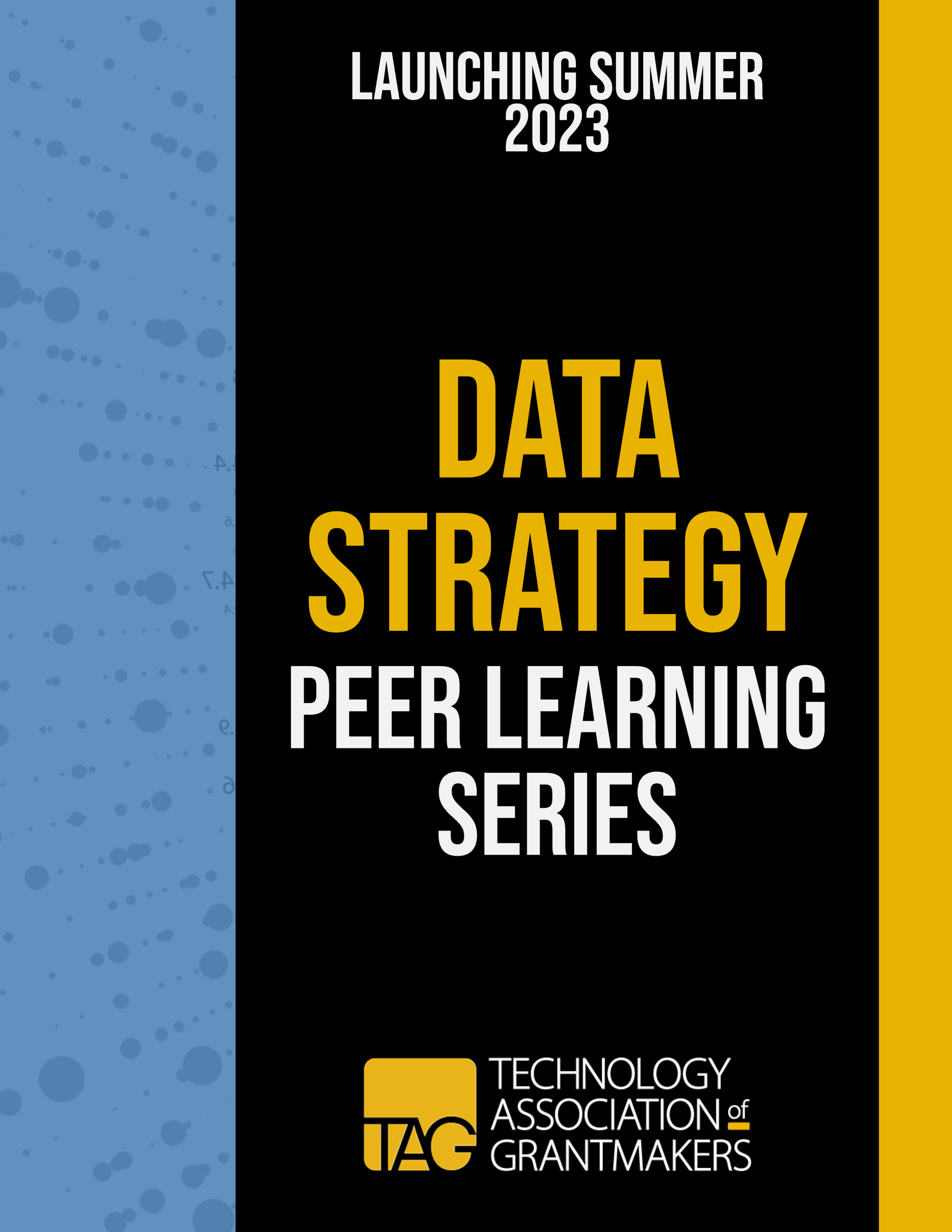 Data Strategy cover page