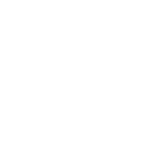 Conrad N Hilton Foundation