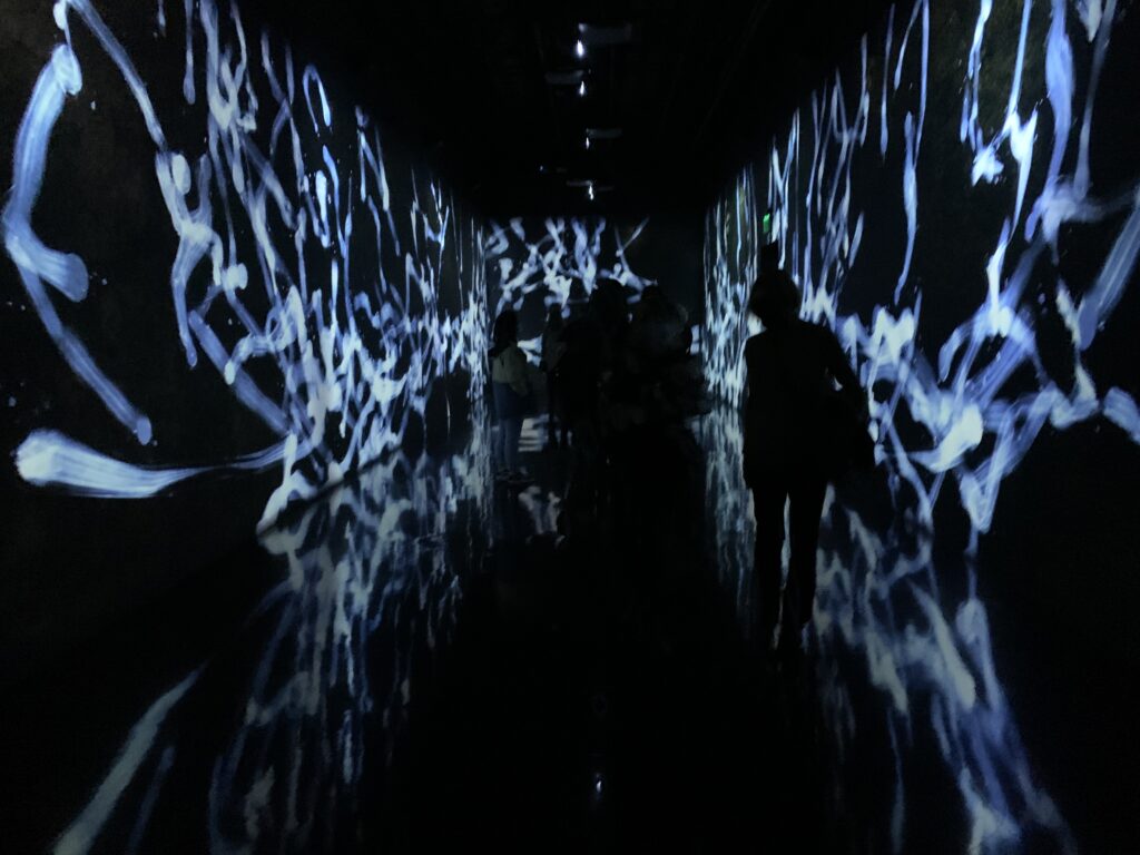 dark exhibit with several silhouettes of attendees